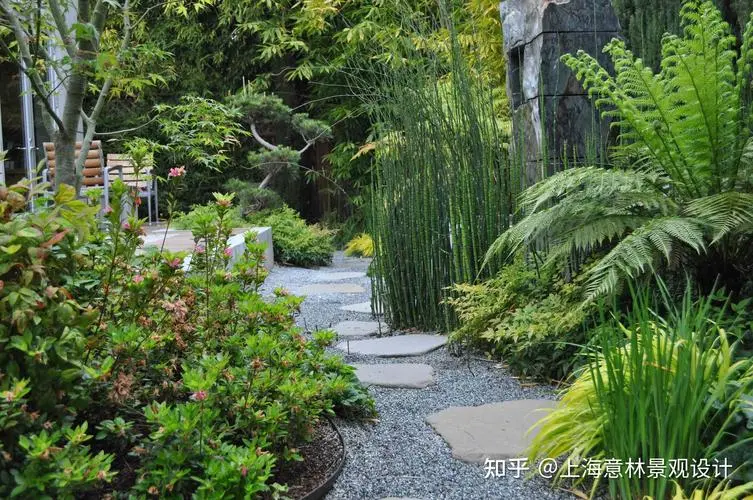 米乐m6官网：健身房室内植物申请书