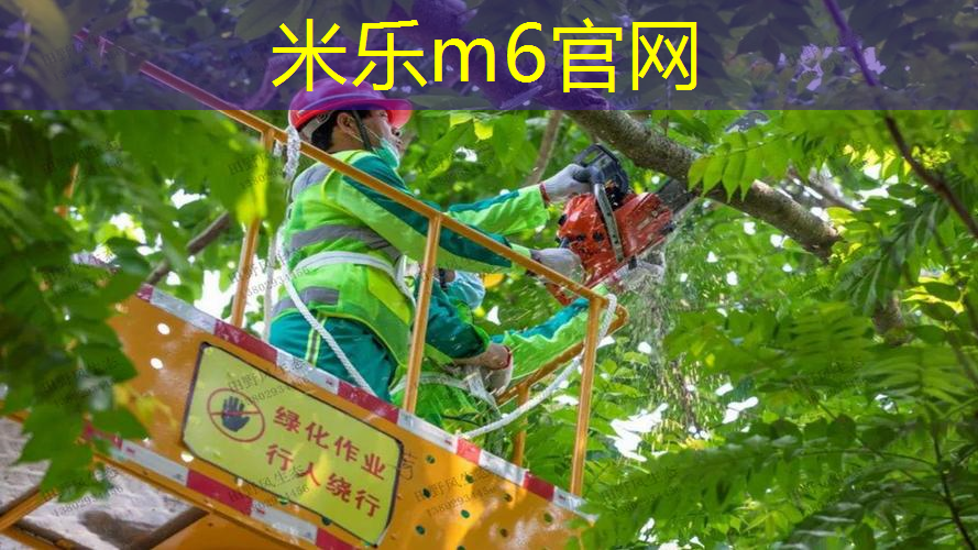 残疾人田径器材体育自动投注软件
