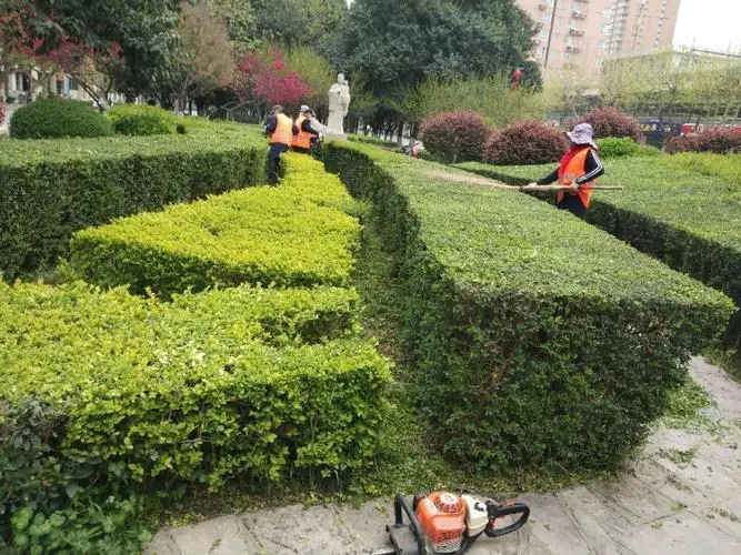 田径摆臂训练器材推荐