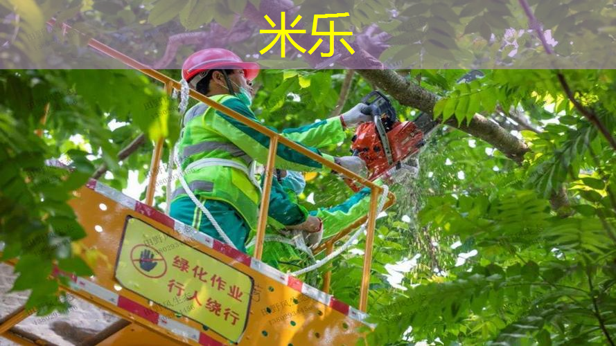 mile·米乐m6：50米环形塑胶跑道