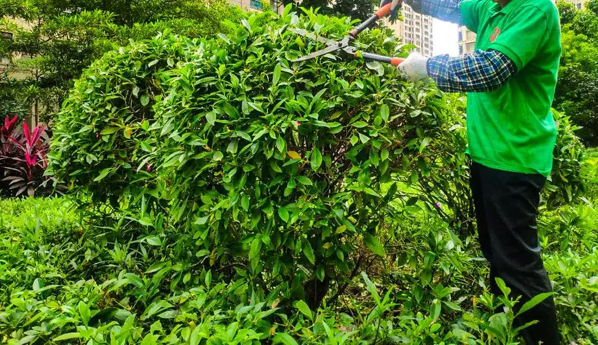 乒乓球台加发球器