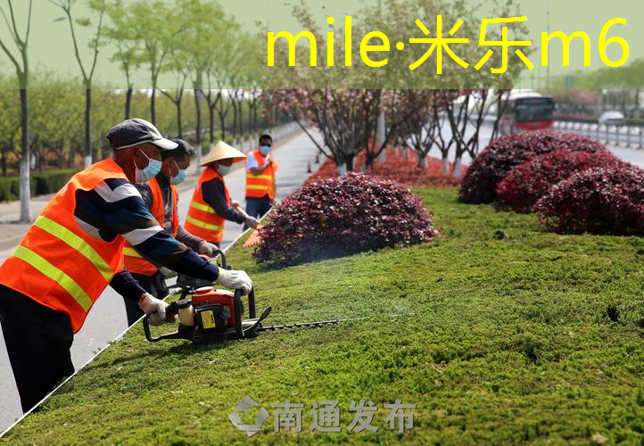 米乐m6官网：乒乓球台尺寸长宽高是多少呢