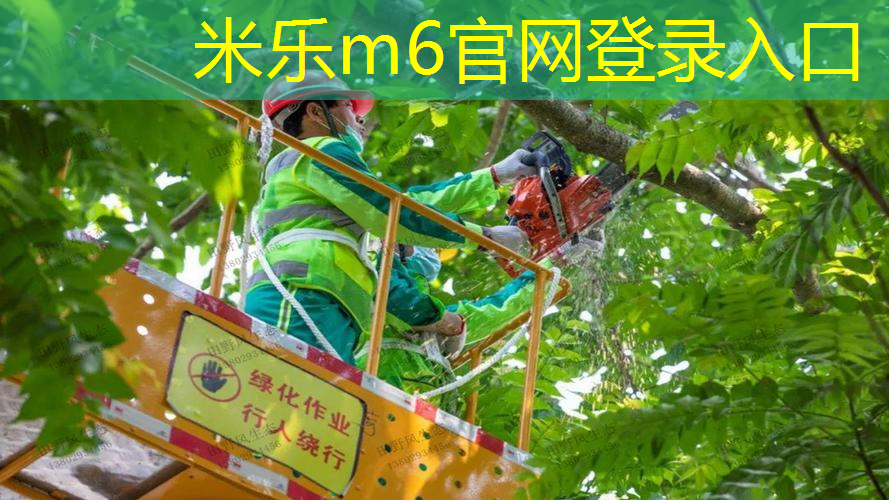 mile·米乐m6：从材料角度看塑胶跑道：五花八门的选择等着你