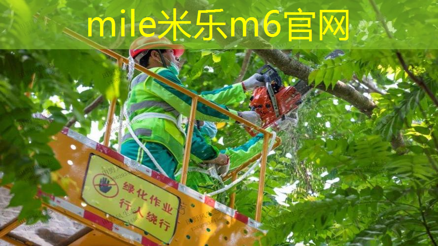 mile·米乐m6：室内健身轻器材有什么好处