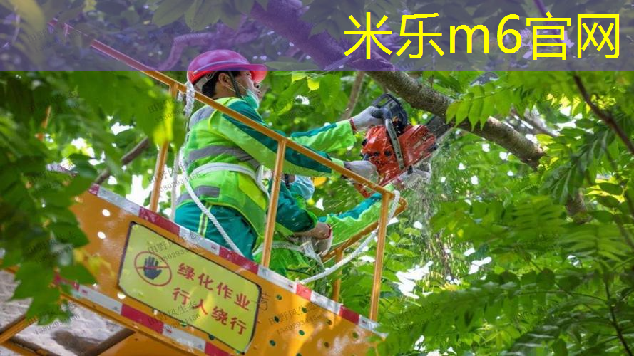 米乐：比较好的篮球训练器材推荐体育彩票首页查询