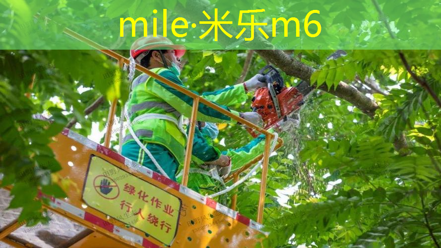 米乐m6官网：800米塑胶跑道施工