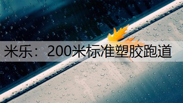 200米标准塑胶跑道