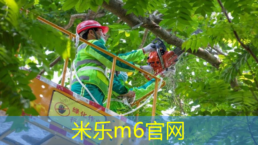 网球拍长时间保存可以吗_