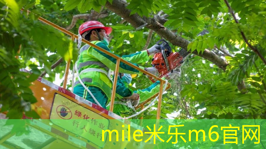 50米环形塑胶跑道
