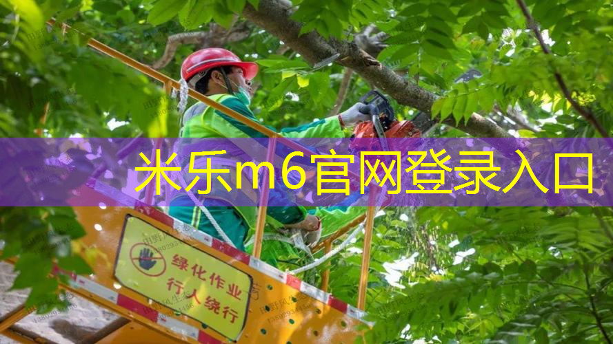 乒乓球台的台面是什么材质