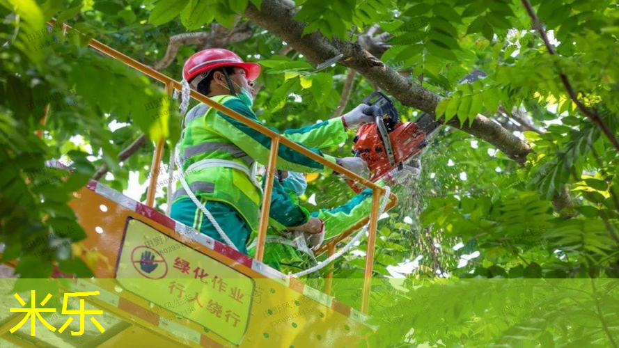 从材料角度看塑胶跑道：五花八门的选择等着你