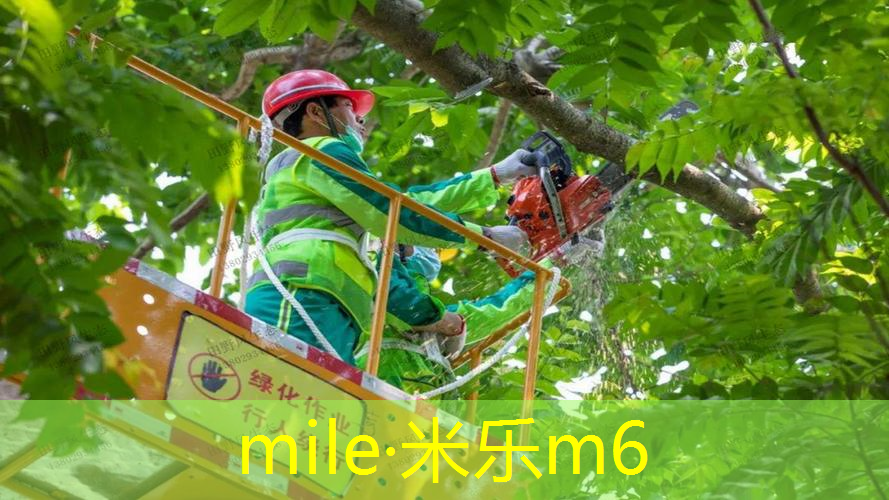 室内健身轻器材有什么好处