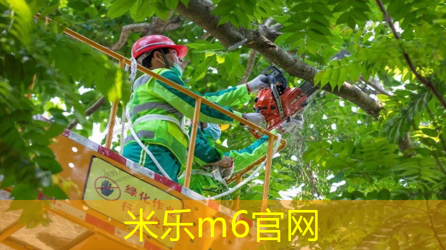 800米塑胶跑道施工